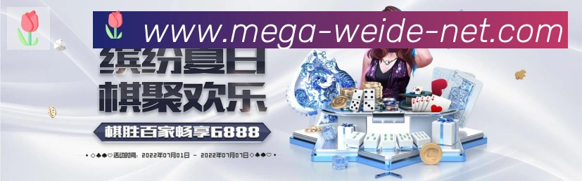 企业概况