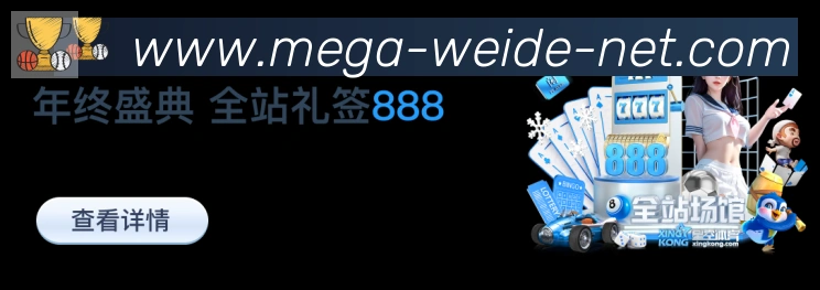 未来规划